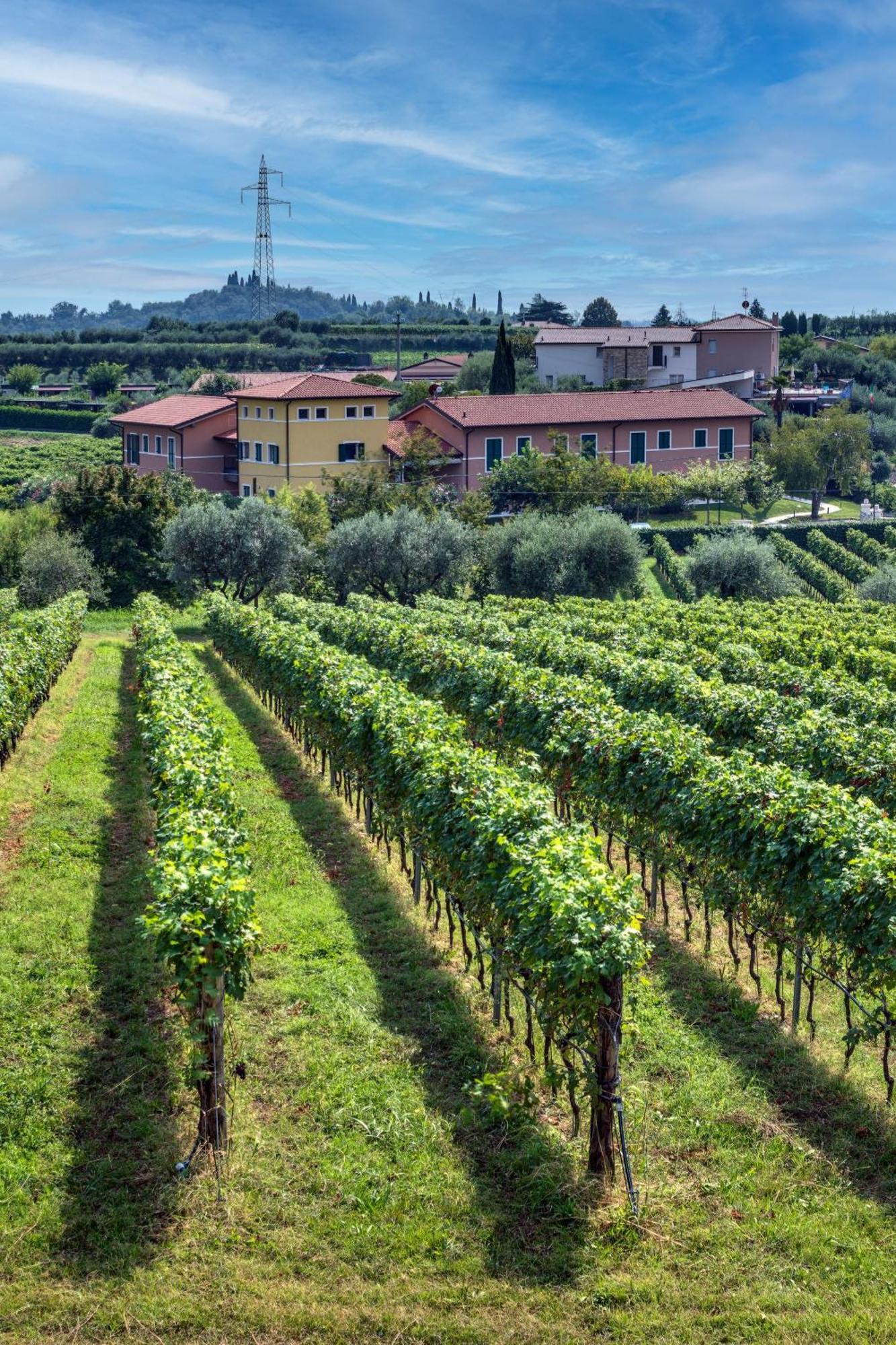 Tenuta Di Palu Aparthotel Bardolino Exterior photo